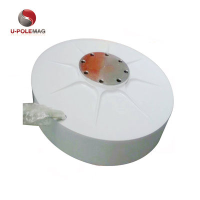 사용자 정의 AFPMG520-1.0KW/90RPM 내부 로터 풍력 발전기에 희토류 자석