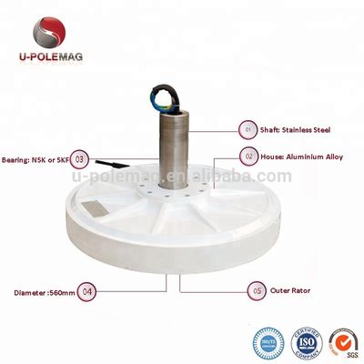 15W 등급 전력 U 50 Rpm 에너지 생산을 위한 영구 자석 대전기