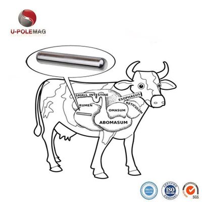 72.5g의 AlNiCo 5 복합 소 자석 알약으로 소 생산을 증가시킵니다.
